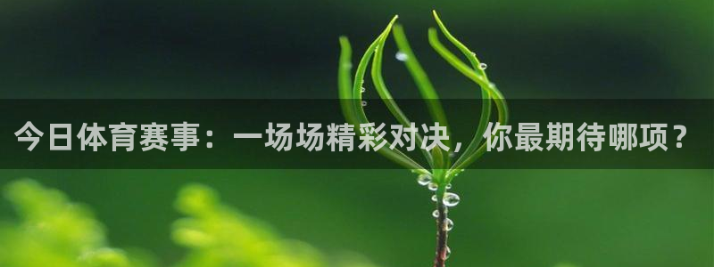 今日体育赛事：一场场精彩对决，你最期待哪项？