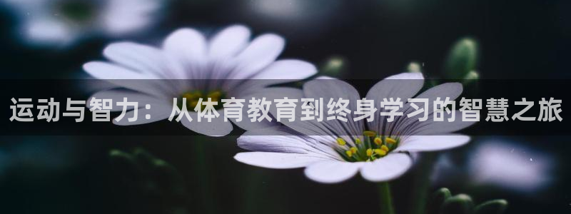 运动与智力：从体育教育到终身学习的智慧之旅