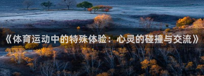 《体育运动中的特殊体验：心灵的碰撞与交流》