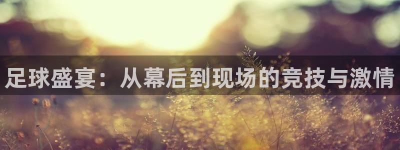 足球盛宴:从幕后到现场的竞技与激情