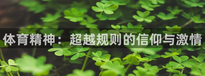 体育精神：超越规则的信仰与激情