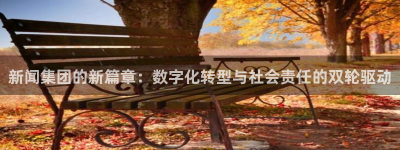 新闻集团的新篇章：数字化转型与社会责任的双轮驱动
